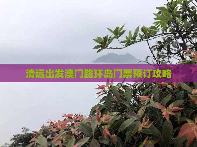 清远出发澳门路环岛门票预订攻略