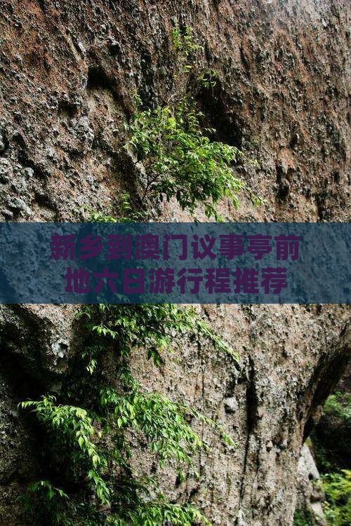 新乡到澳门议事亭前地六日游行程推荐