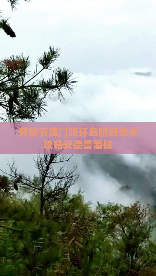劳动节澳门路环岛旅游景点攻略安德鲁葡挞