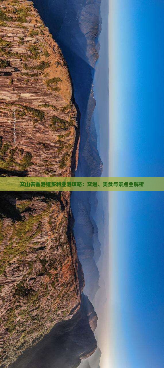 文山去香港维多利亚港攻略：交通、美食与景点全解析