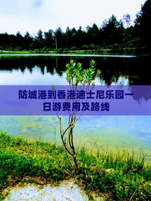 防城港到香港迪士尼乐园一日游费用及路线
