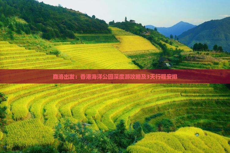 商洛出发：香港海洋公园深度游攻略及3天行程安排