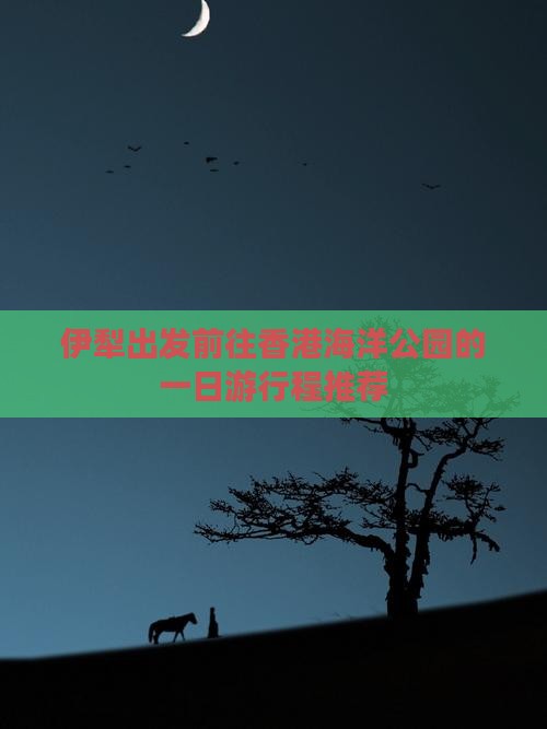 伊犁出发前往香港海洋公园的一日游行程推荐