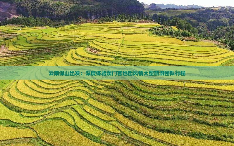 云南保山出发：深度体验澳门官也街风情大型旅游团队行程