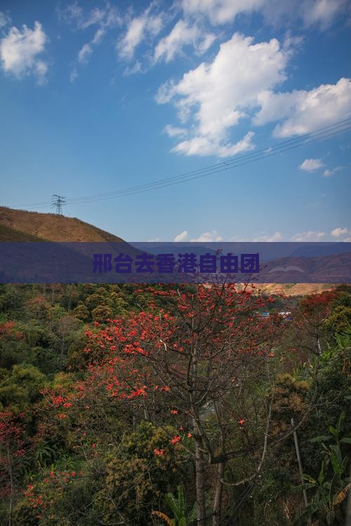 邢台去香港自由团