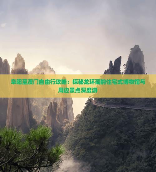 阜阳至澳门自由行攻略：探秘龙环葡韵住宅式博物馆与周边景点深度游