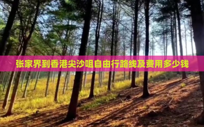 张家界到香港尖沙咀自由行路线及费用多少钱