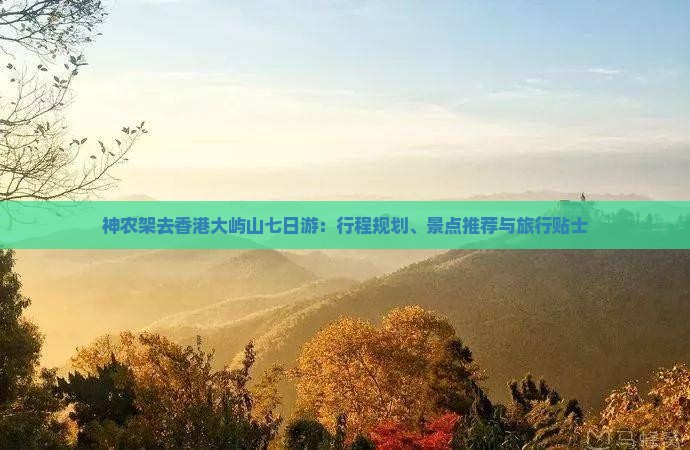 神农架去香港大屿山七日游：行程规划、景点推荐与旅行贴士