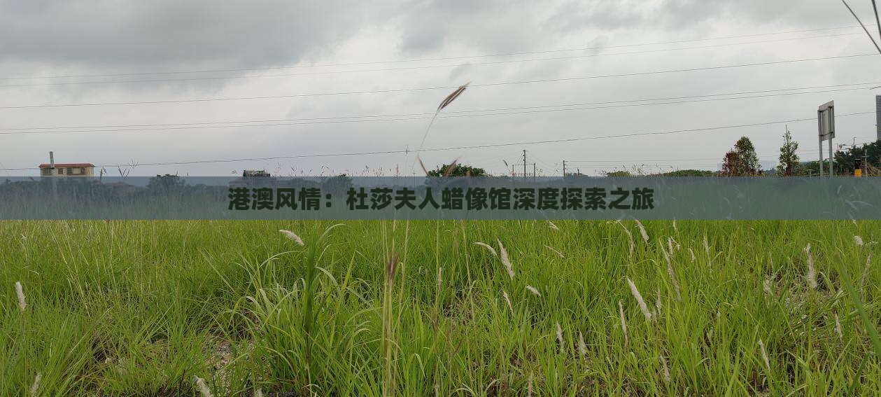 港澳风情：杜莎夫人蜡像馆深度探索之旅