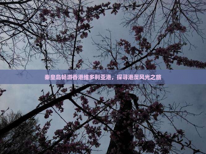 秦皇岛畅游香港维多利亚港，探寻港澳风光之旅