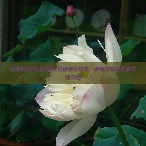 深圳前往澳门巴黎人酒店游玩攻略，埃菲尔铁塔景点详细介绍