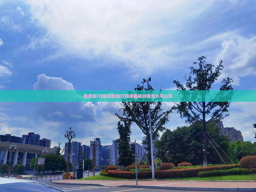 香港旅行|港澳旅游|甘孜游客畅游香港太平山顶