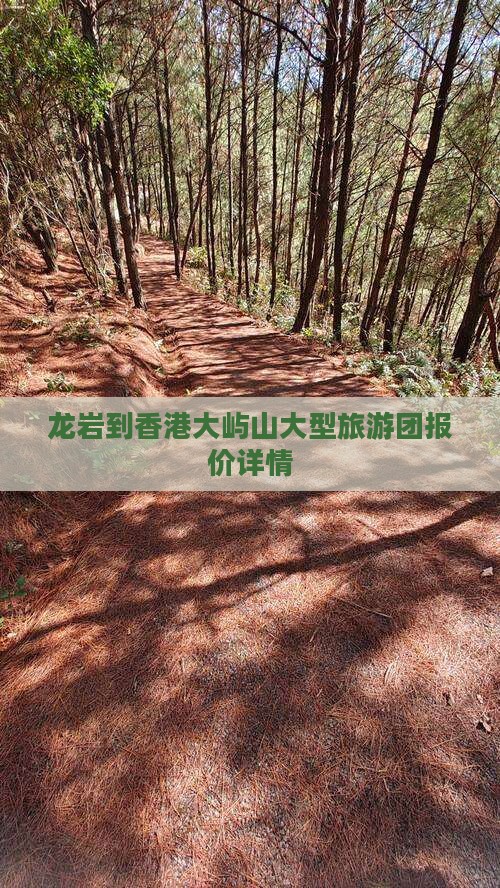 龙岩到香港大屿山大型旅游团报价详情