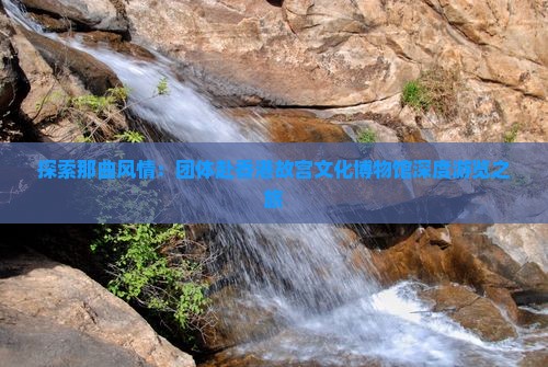 探索那曲风情：团体赴香港故宫文化博物馆深度游览之旅