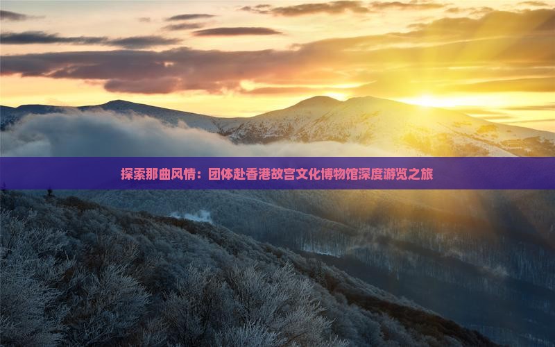 探索那曲风情：团体赴香港故宫文化博物馆深度游览之旅