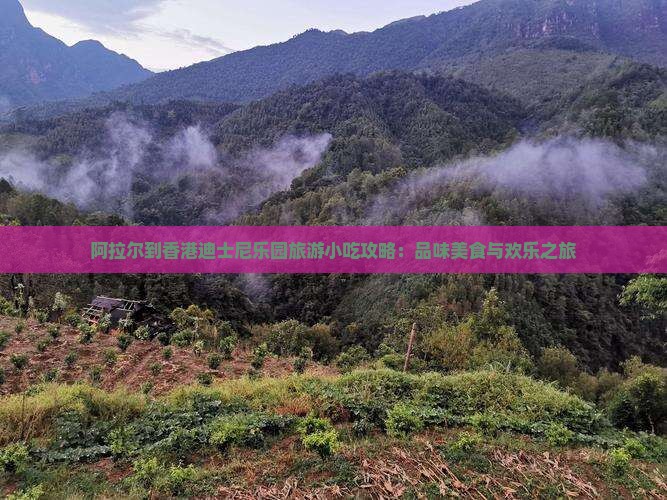 阿拉尔到香港迪士尼乐园旅游小吃攻略：品味美食与欢乐之旅