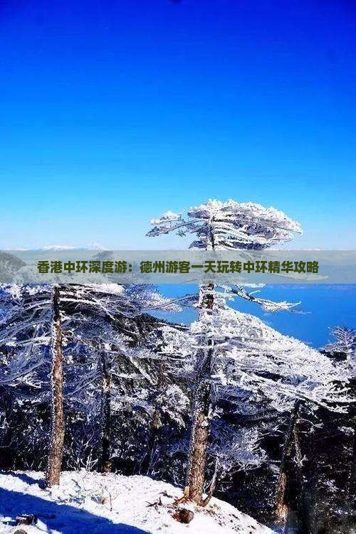 香港中环深度游：德州游客一天玩转中环精华攻略