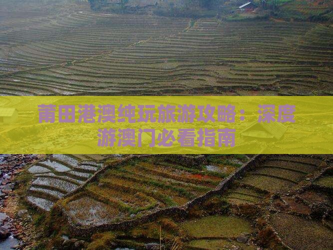 莆田港澳纯玩旅游攻略：深度游澳门必看指南