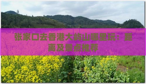 张家口去香港大屿山哪里玩：距离及景点推荐