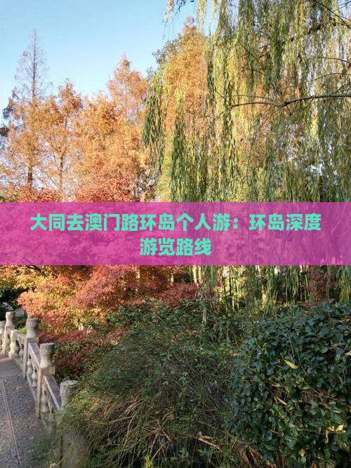 大同去澳门路环岛个人游：环岛深度游览路线