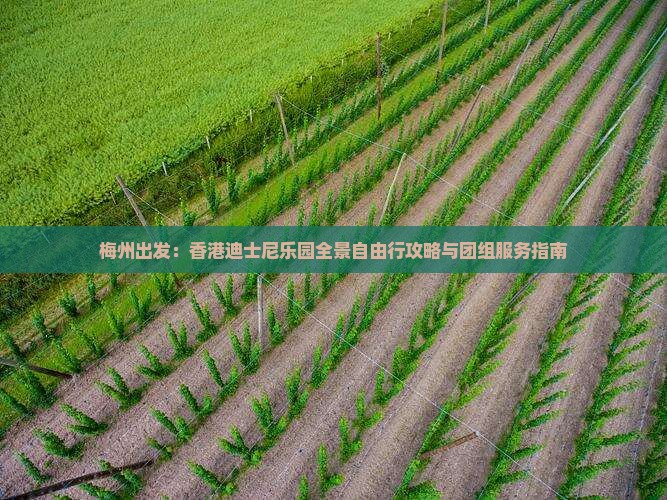 梅州出发：香港迪士尼乐园全景自由行攻略与团组服务指南