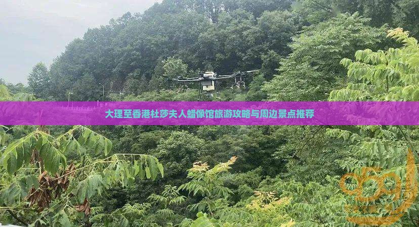 大理至香港杜莎夫人蜡像馆旅游攻略与周边景点推荐