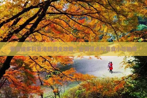 香港维多利亚港旅游全攻略：必游景点与美食小吃推荐