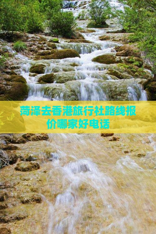 菏泽去香港旅行社路线报价哪家好电话