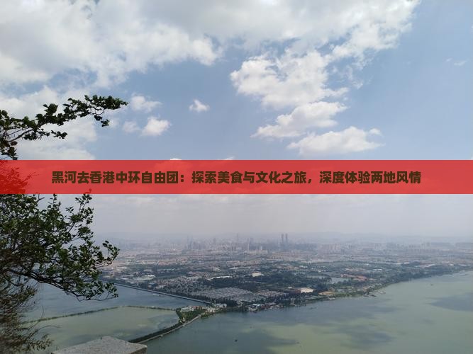 黑河去香港中环自由团：探索美食与文化之旅，深度体验两地风情