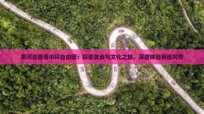 黑河去香港中环自由团：探索美食与文化之旅，深度体验两地风情