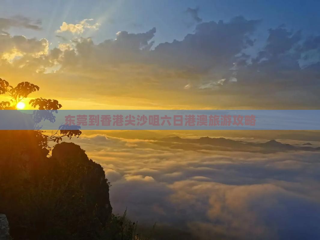 东莞到香港尖沙咀六日港澳旅游攻略
