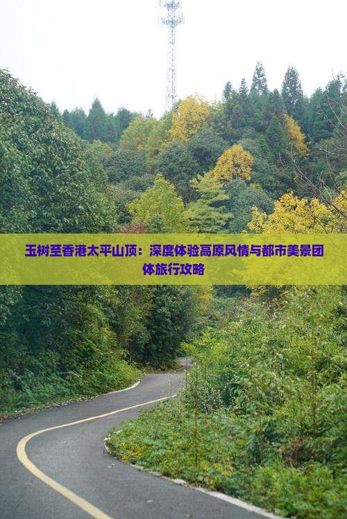 玉树至香港太平山顶：深度体验高原风情与都市美景团体旅行攻略