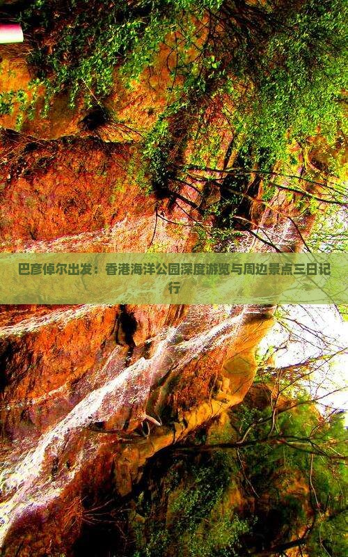 巴彦倬尔出发：香港海洋公园深度游览与周边景点三日记行