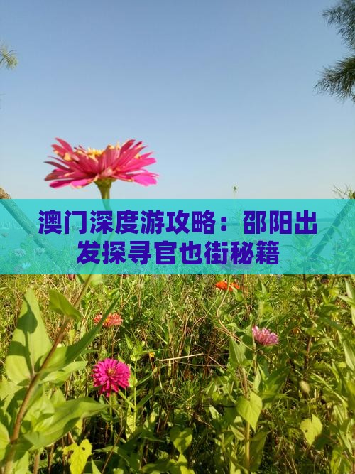 澳门深度游攻略：邵阳出发探寻官也街秘籍