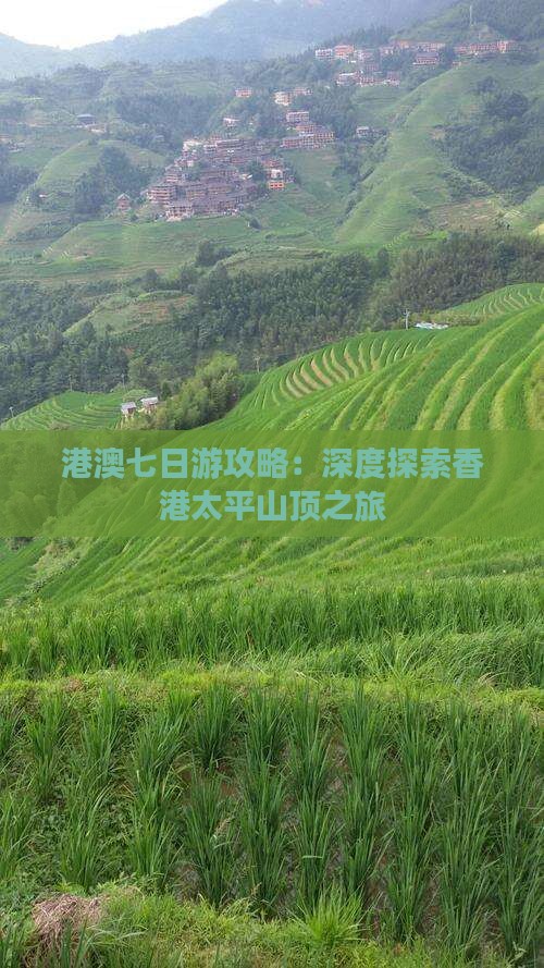 港澳七日游攻略：深度探索香港太平山顶之旅