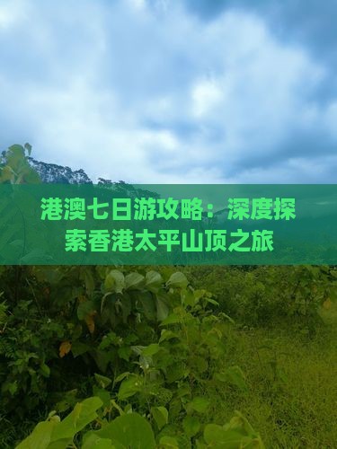 港澳七日游攻略：深度探索香港太平山顶之旅