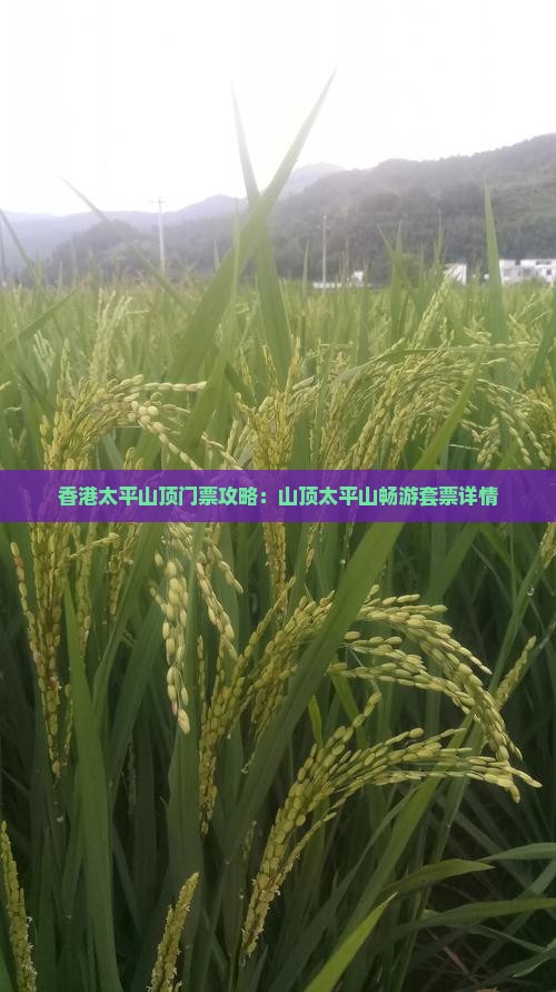 香港太平山顶门票攻略：山顶太平山畅游套票详情