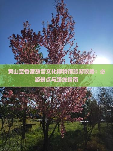 黄山至香港故宫文化博物馆旅游攻略：必游景点与路线指南