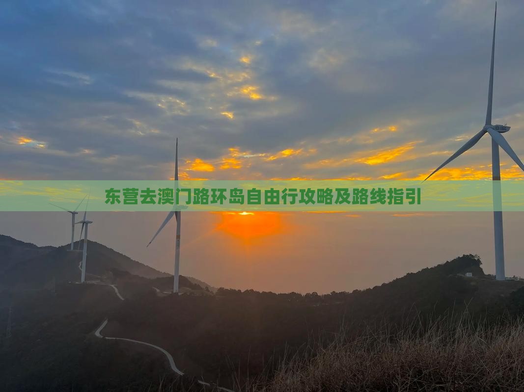 东营去澳门路环岛自由行攻略及路线指引