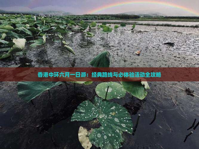 香港中环六月一日游：经典路线与必体验活动全攻略