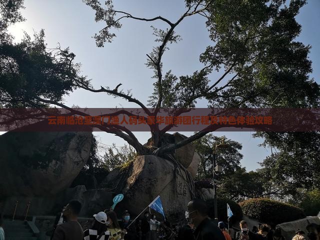 云南临沧至澳门渔人码头豪华旅游团行程及特色体验攻略