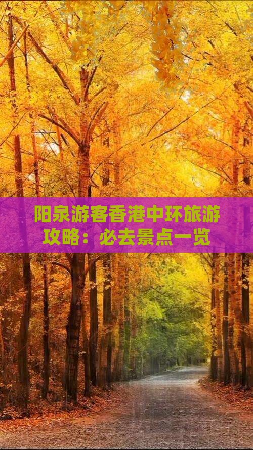 阳泉游客香港中环旅游攻略：必去景点一览