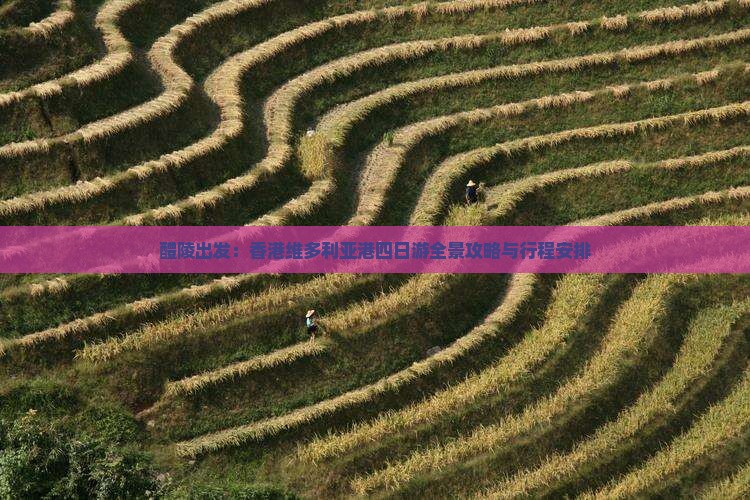 醴陵出发：香港维多利亚港四日游全景攻略与行程安排