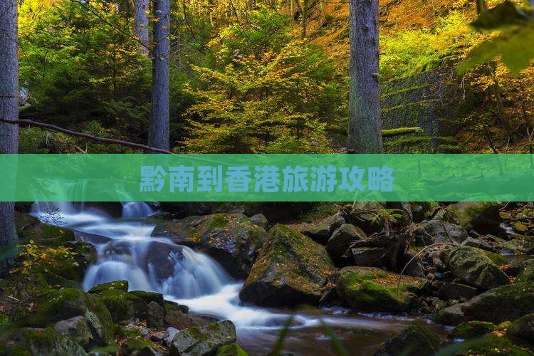 黔南到香港旅游攻略