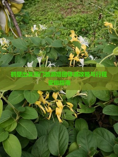 鹤壁出发澳门旅游塔团体游攻略与行程安排指南