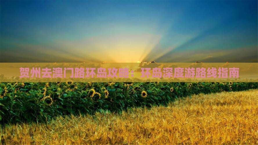 贺州去澳门路环岛攻略：环岛深度游路线指南