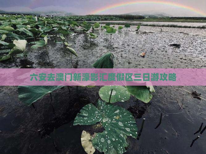 六安去澳门新濠影汇度假区三日游攻略