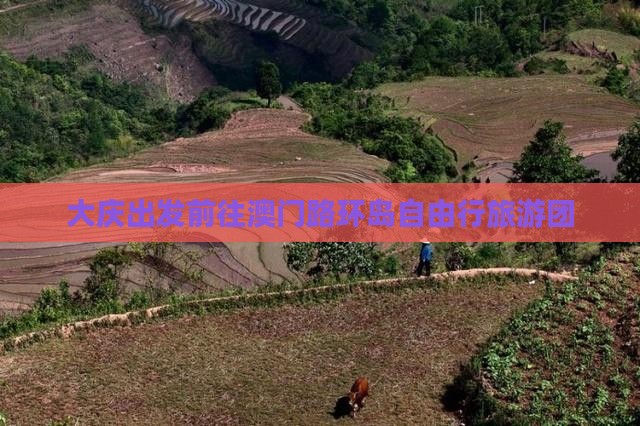 大庆出发前往澳门路环岛自由行旅游团