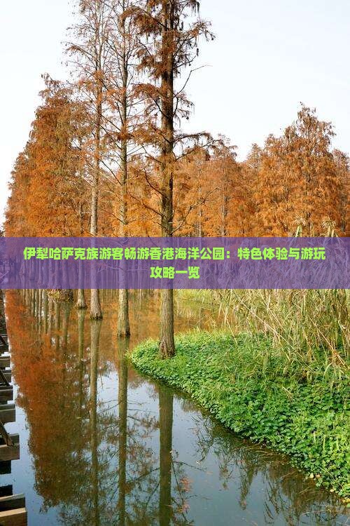 伊犁哈萨克族游客畅游香港海洋公园：特色体验与游玩攻略一览