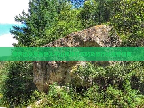 肇庆出发至香港太平山顶旅行攻略及旅行社推荐指南